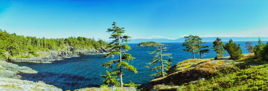 A quick guide to Vancouver 